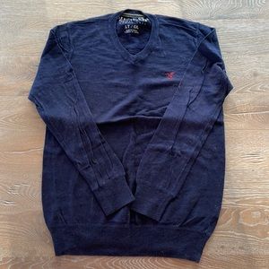 Men’s American Eagle Lightweight V-Neck Sweater | Large Tall